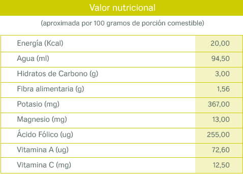 tablas nutricionales_escarola