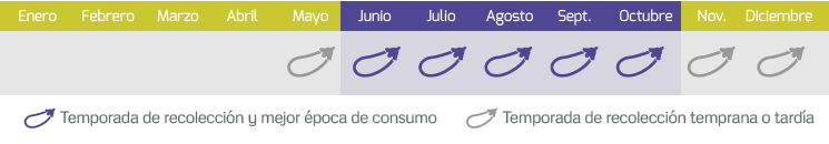calendario berenjena