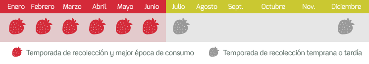 Resultado de imagen de MARZO Y ABRIL TEMPORADA DE FRESAS