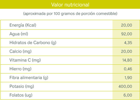 tablas nutricionales_calabacin